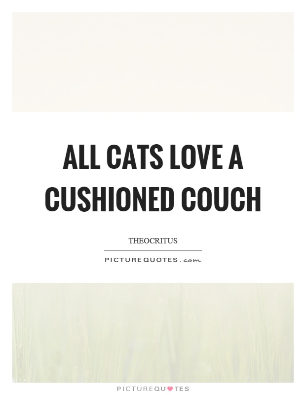 All cats love a cushioned couch Picture Quote #1