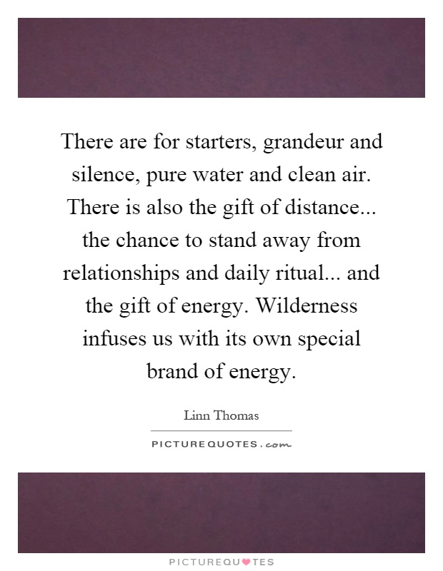 There are for starters, grandeur and silence, pure water and clean air. There is also the gift of distance... the chance to stand away from relationships and daily ritual... and the gift of energy. Wilderness infuses us with its own special brand of energy Picture Quote #1