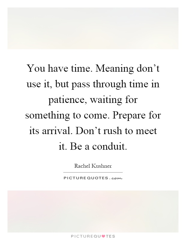You have time. Meaning don't use it, but pass through time in patience, waiting for something to come. Prepare for its arrival. Don't rush to meet it. Be a conduit Picture Quote #1