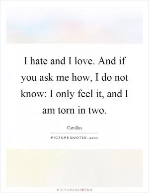 I hate and I love. And if you ask me how, I do not know: I only feel it, and I am torn in two Picture Quote #1
