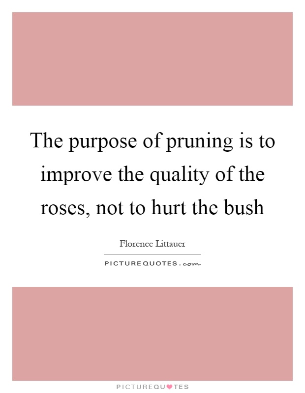 The purpose of pruning is to improve the quality of the roses, not to hurt the bush Picture Quote #1