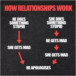 How relationships work. He does something stupid. She gets mad. He apologises. She does something stupid. He gets mad. She gets mad. He apologises Picture Quote #1