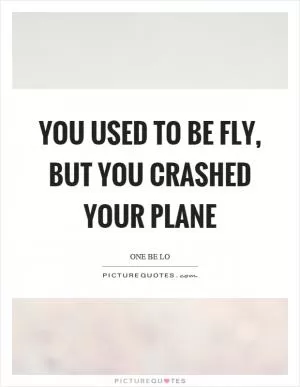 You used to be fly, but you crashed your plane Picture Quote #1