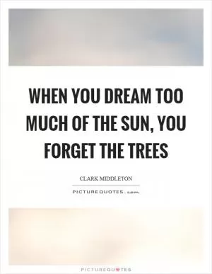 When you dream too much of the sun, you forget the trees Picture Quote #1