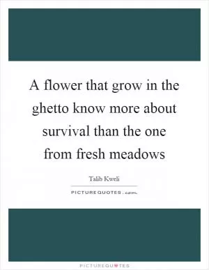 A flower that grow in the ghetto know more about survival than the one from fresh meadows Picture Quote #1