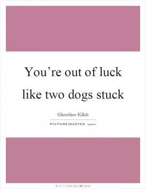 You’re out of luck like two dogs stuck Picture Quote #1