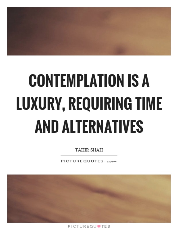 Contemplation is a luxury, requiring time and alternatives Picture Quote #1