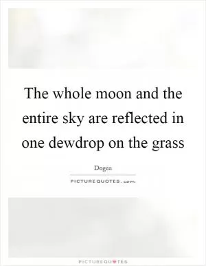 The whole moon and the entire sky are reflected in one dewdrop on the grass Picture Quote #1