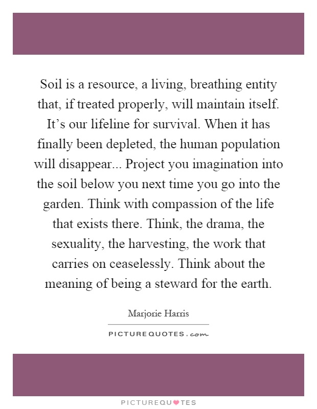 Soil is a resource, a living, breathing entity that, if treated properly, will maintain itself. It's our lifeline for survival. When it has finally been depleted, the human population will disappear... Project you imagination into the soil below you next time you go into the garden. Think with compassion of the life that exists there. Think, the drama, the sexuality, the harvesting, the work that carries on ceaselessly. Think about the meaning of being a steward for the earth Picture Quote #1