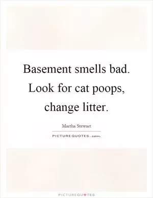 Basement smells bad. Look for cat poops, change litter Picture Quote #1