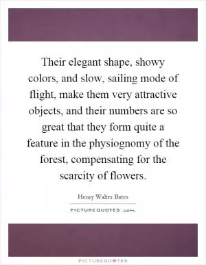 Their elegant shape, showy colors, and slow, sailing mode of flight, make them very attractive objects, and their numbers are so great that they form quite a feature in the physiognomy of the forest, compensating for the scarcity of flowers Picture Quote #1