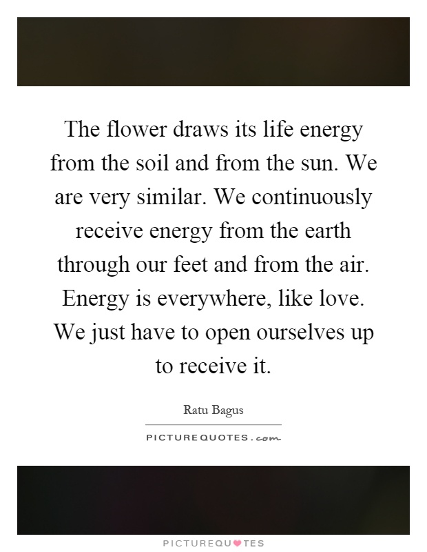 The flower draws its life energy from the soil and from the sun. We are very similar. We continuously receive energy from the earth through our feet and from the air. Energy is everywhere, like love. We just have to open ourselves up to receive it Picture Quote #1