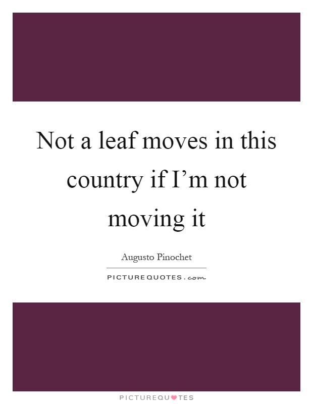 Not a leaf moves in this country if I'm not moving it Picture Quote #1