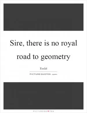 Sire, there is no royal road to geometry Picture Quote #1
