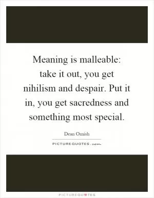 Meaning is malleable: take it out, you get nihilism and despair. Put it in, you get sacredness and something most special Picture Quote #1