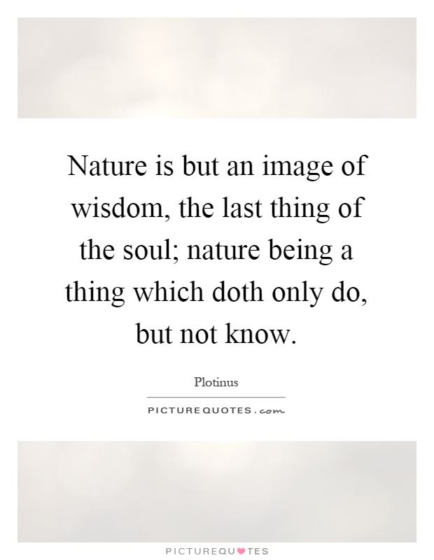 Nature is but an image of wisdom, the last thing of the soul; nature being a thing which doth only do, but not know Picture Quote #1