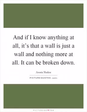 And if I know anything at all, it’s that a wall is just a wall and nothing more at all. It can be broken down Picture Quote #1