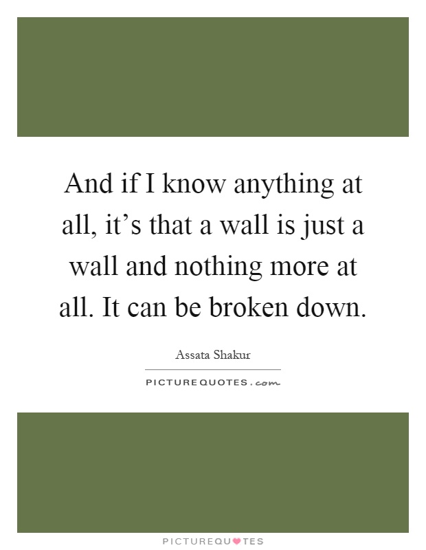 And if I know anything at all, it's that a wall is just a wall and nothing more at all. It can be broken down Picture Quote #1