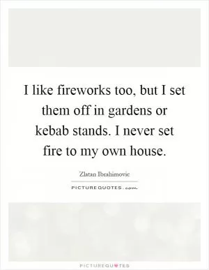 I like fireworks too, but I set them off in gardens or kebab stands. I never set fire to my own house Picture Quote #1