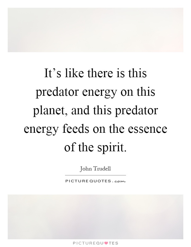 It's like there is this predator energy on this planet, and this predator energy feeds on the essence of the spirit Picture Quote #1