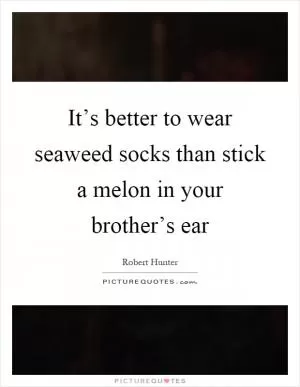It’s better to wear seaweed socks than stick a melon in your brother’s ear Picture Quote #1