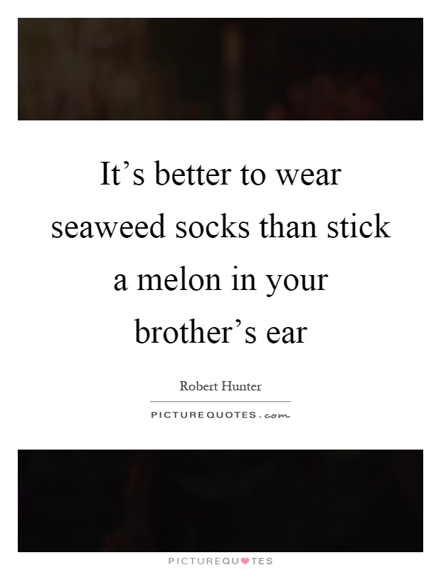 It's better to wear seaweed socks than stick a melon in your brother's ear Picture Quote #1