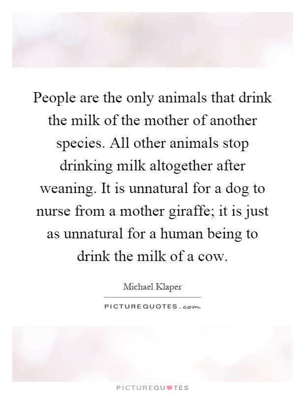 People are the only animals that drink the milk of the mother of another species. All other animals stop drinking milk altogether after weaning. It is unnatural for a dog to nurse from a mother giraffe; it is just as unnatural for a human being to drink the milk of a cow Picture Quote #1