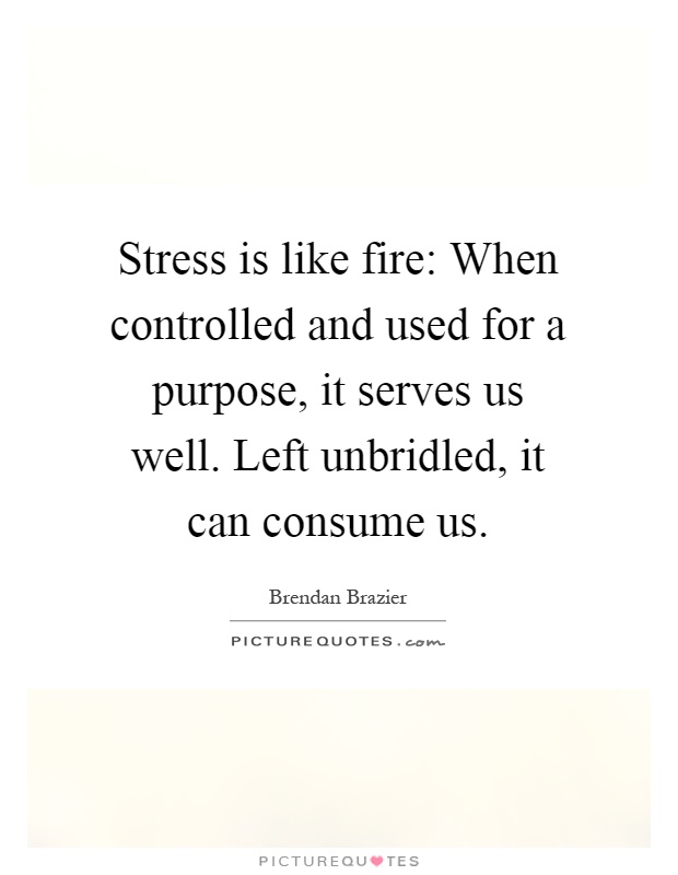 Stress is like fire: When controlled and used for a purpose, it serves us well. Left unbridled, it can consume us Picture Quote #1