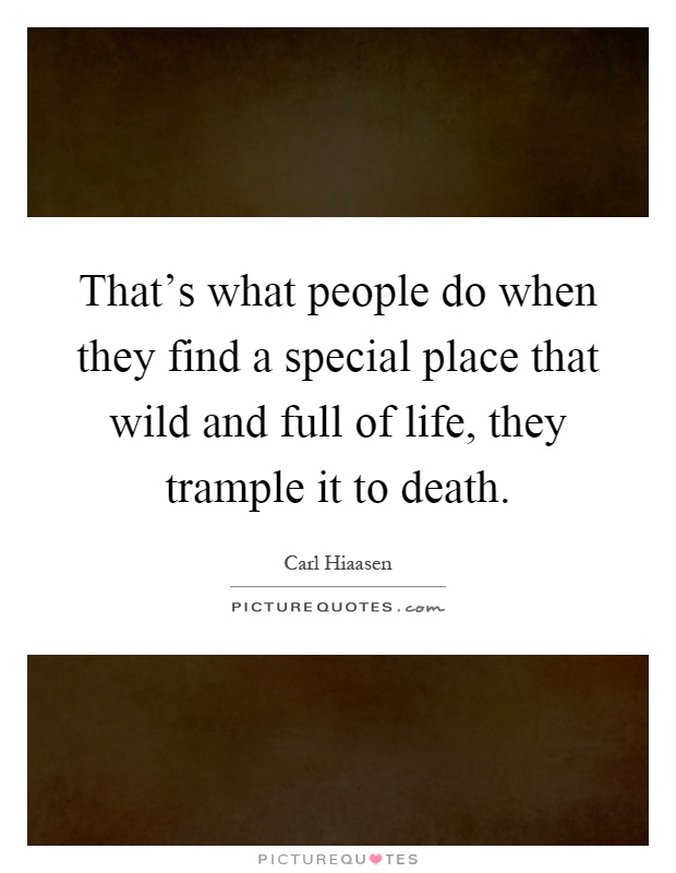That's what people do when they find a special place that wild and full of life, they trample it to death Picture Quote #1