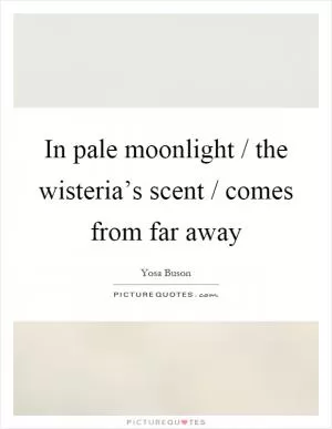 In pale moonlight / the wisteria’s scent / comes from far away Picture Quote #1