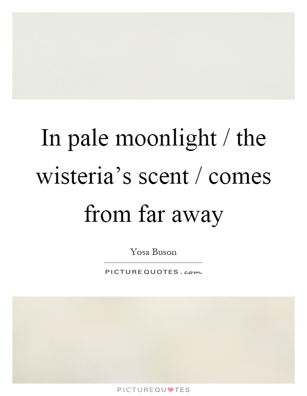 In pale moonlight / the wisteria's scent / comes from far away Picture Quote #1