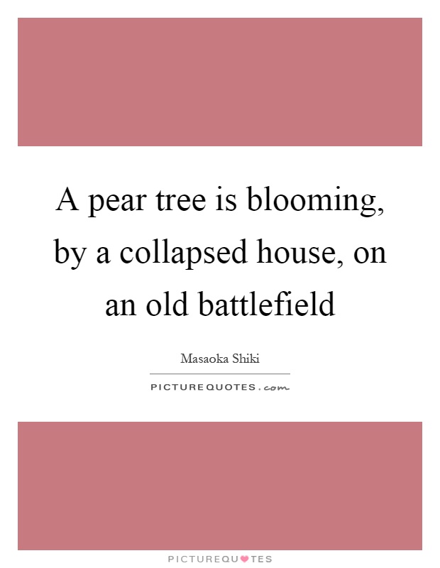 A pear tree is blooming, by a collapsed house, on an old battlefield Picture Quote #1