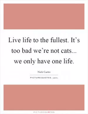 Live life to the fullest. It’s too bad we’re not cats... we only have one life Picture Quote #1
