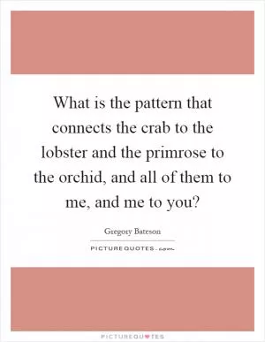 What is the pattern that connects the crab to the lobster and the primrose to the orchid, and all of them to me, and me to you? Picture Quote #1
