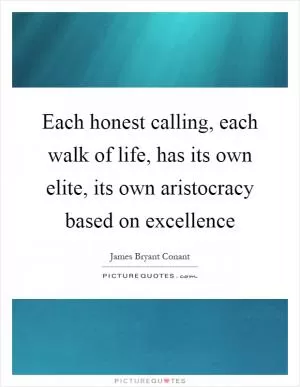 Each honest calling, each walk of life, has its own elite, its own aristocracy based on excellence Picture Quote #1