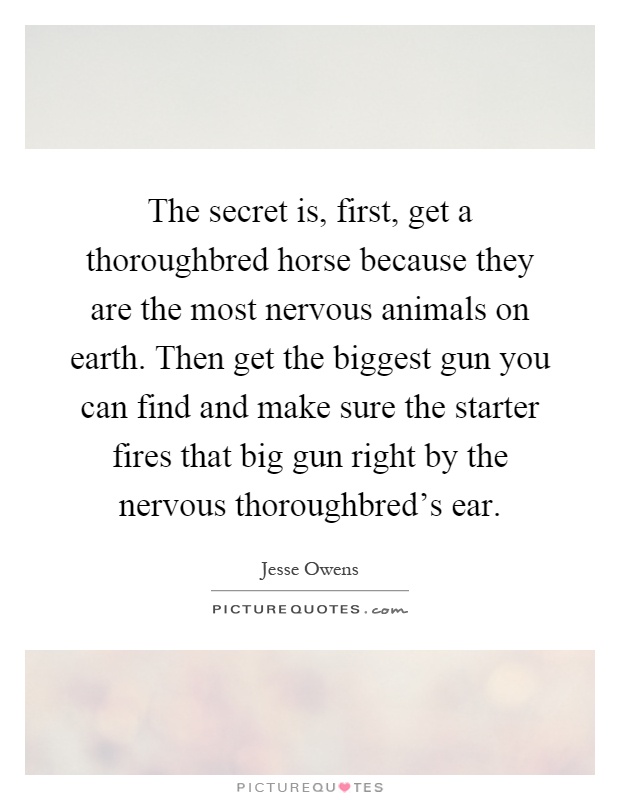 The secret is, first, get a thoroughbred horse because they are the most nervous animals on earth. Then get the biggest gun you can find and make sure the starter fires that big gun right by the nervous thoroughbred's ear Picture Quote #1