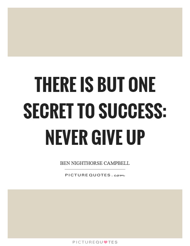 There is but one secret to success: never give up Picture Quote #1