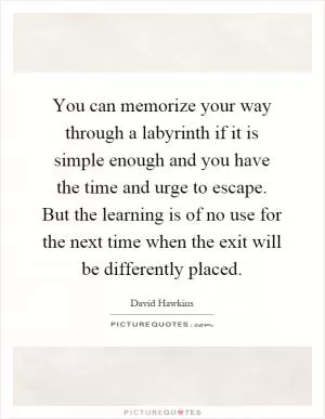 You can memorize your way through a labyrinth if it is simple enough and you have the time and urge to escape. But the learning is of no use for the next time when the exit will be differently placed Picture Quote #1