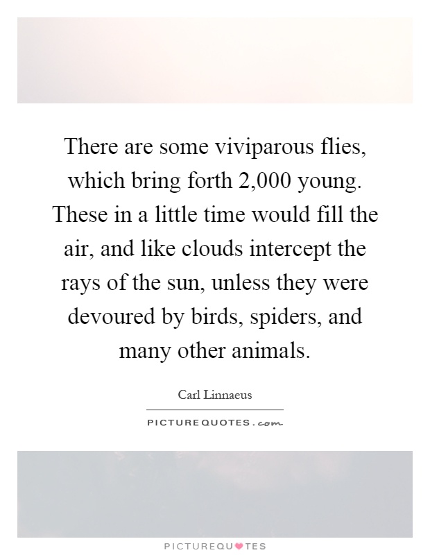 There are some viviparous flies, which bring forth 2,000 young. These in a little time would fill the air, and like clouds intercept the rays of the sun, unless they were devoured by birds, spiders, and many other animals Picture Quote #1