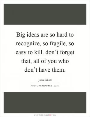 Big ideas are so hard to recognize, so fragile, so easy to kill. don’t forget that, all of you who don’t have them Picture Quote #1
