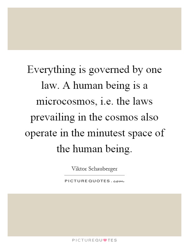 Everything is governed by one law. A human being is a microcosmos, i.e. the laws prevailing in the cosmos also operate in the minutest space of the human being Picture Quote #1
