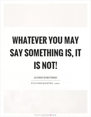 Whatever you may say something is, it is not! Picture Quote #1
