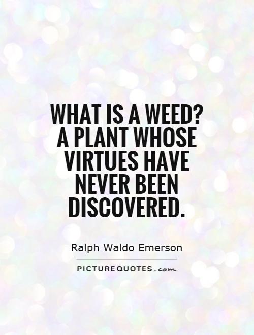 What is a weed? A plant whose virtues have never been discovered Picture Quote #1