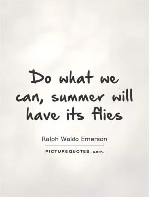 Do what we can, summer will have its flies Picture Quote #1