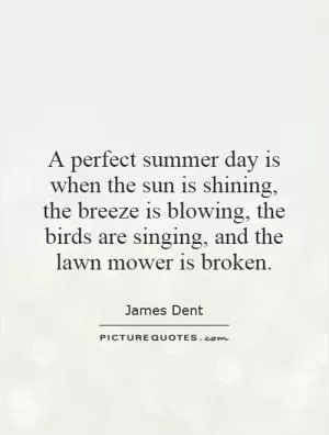 A perfect summer day is when the sun is shining, the breeze is blowing, the birds are singing, and the lawn mower is broken Picture Quote #1