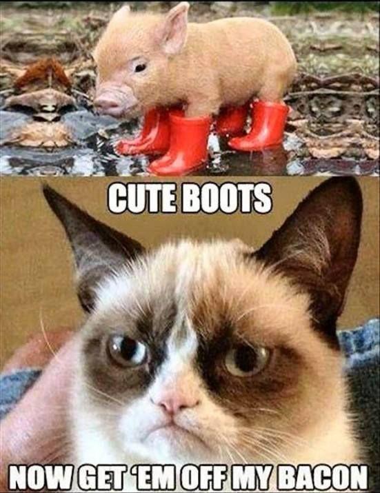 Cute boots. Now get 'em off my bacon Picture Quote #1