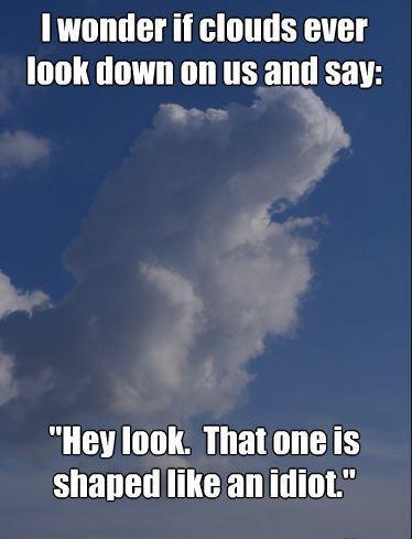 I wonder if clouds ever look down on us and say... Hey look that one is shaped like an idiot Picture Quote #1