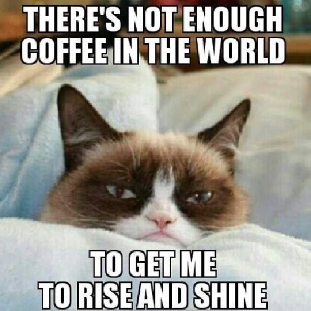 There is not enough coffee in the world to get me to rise and shine Picture Quote #1