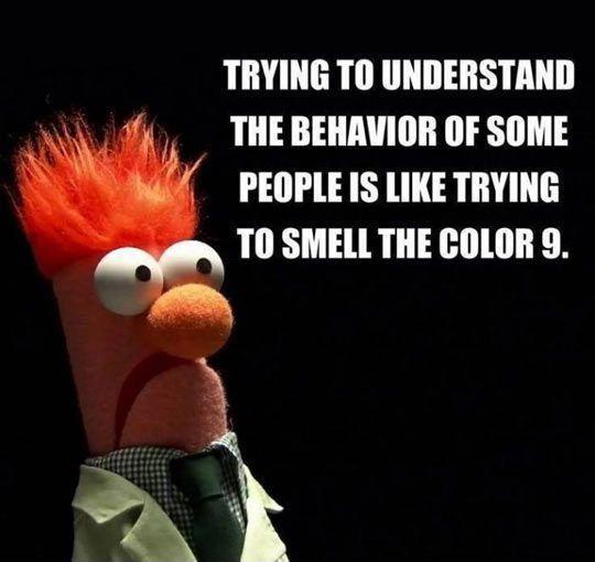 Trying to understand some people is like trying to smell the color 9 Picture Quote #1