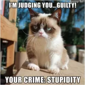 I'm judging you guilty. Your crime: stupidity Picture Quote #1